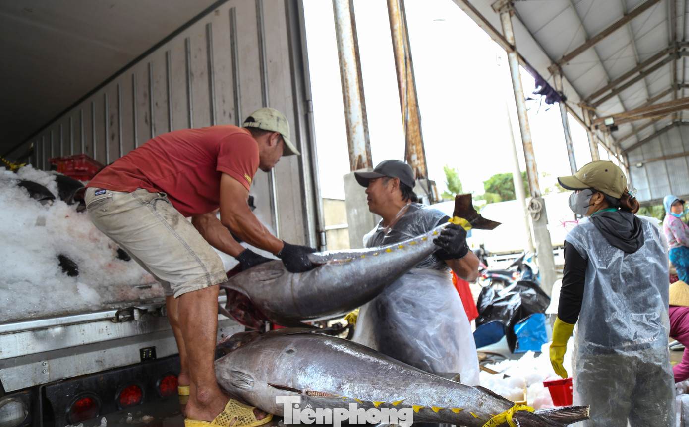 img src/upload/1-2026/images/2026-02-03/1770105923-tp-c_ca-5-width1390height847.jpg width660 /