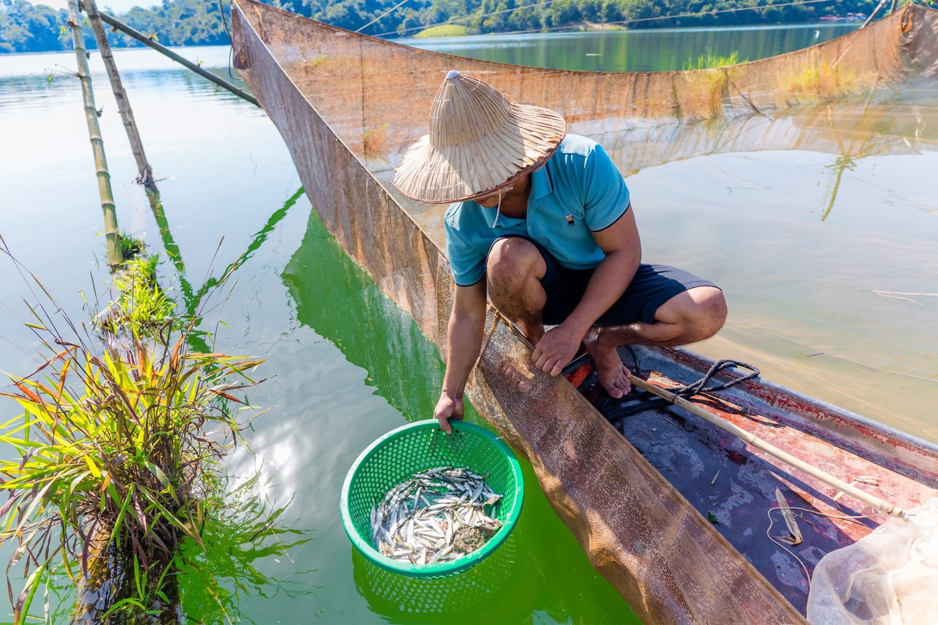 Tép dầu Đầm Vạc được công nhận trong Top 100 quà tặng đặc sản Việt Nam 2021-2022 do Tổ chức Kỷ lục Việt Nam (Vietkings) và Tổ chức Top Việt Nam (VietTop) bình chọn. Ảnh: Đồng Đức Hiệp