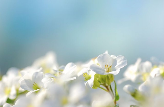 Những người sinh ngày 1, 11 hay 21 Âm lịch thường khao khát một mối quan hệ ổn định, cùng nhau đi đến cuối con đường dù phía trước còn nhiều thử thách. Ảnh minh họa