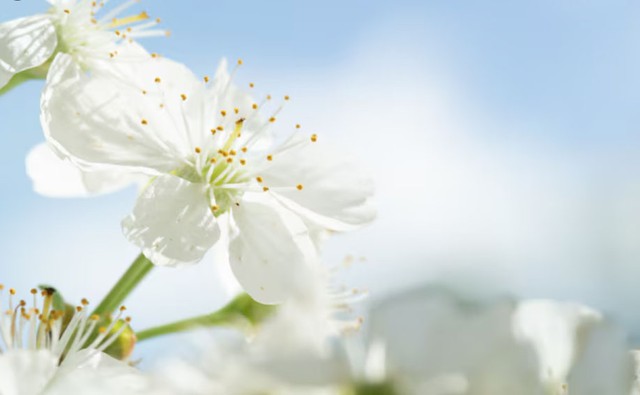 Với những người sinh ngày 6, 16 hay 26 Âm lịch, tình yêu giống như dòng nước chảy êm đềm, lặng lẽ nhưng không bao giờ cạn. Ảnh minh họa