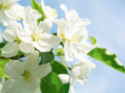 Eva tám - Số cuối ngày sinh Âm lịch tiết lộ người sâu sắc, đã cam kết là không rời bỏ