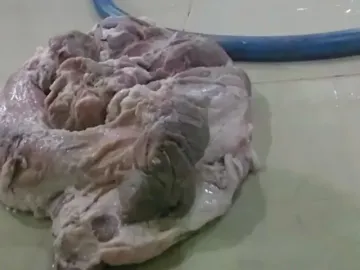 Vụ nghi thịt bẩn tuồn vào trường học: Sở An toàn thực phẩm TPHCM lên tiếng