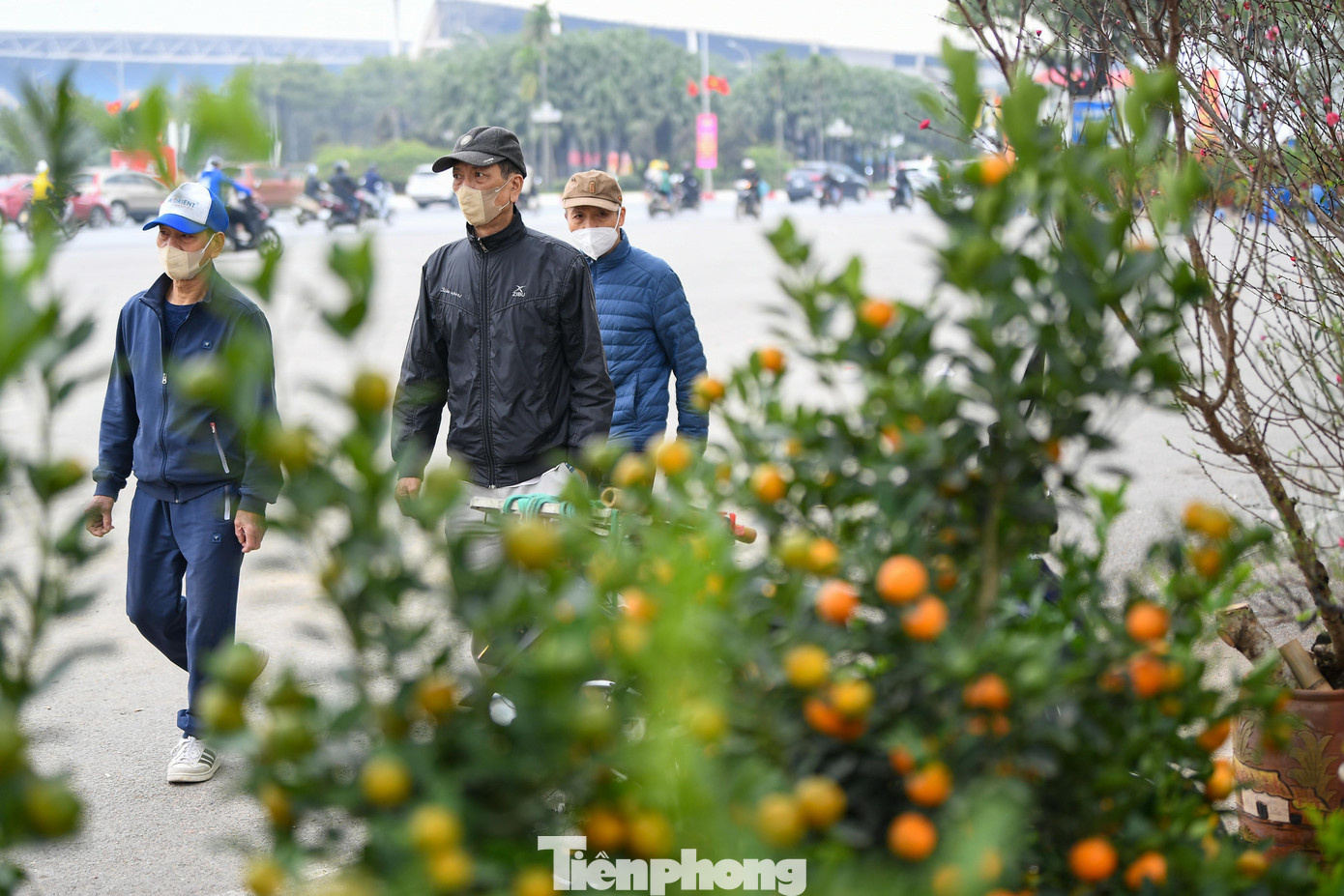 Những ngày giáp Tết, khu vực quảng trường sân vận động Mỹ Đình và đường Lạc Long Quân trở nên nhộn nhịp với hoạt động mua sắm. Hàng trăm sạp đào, quất, hoa tươi nối đuôi nhau, tạo nên không gian đặc trưng của ngày xuân Hà Nội.