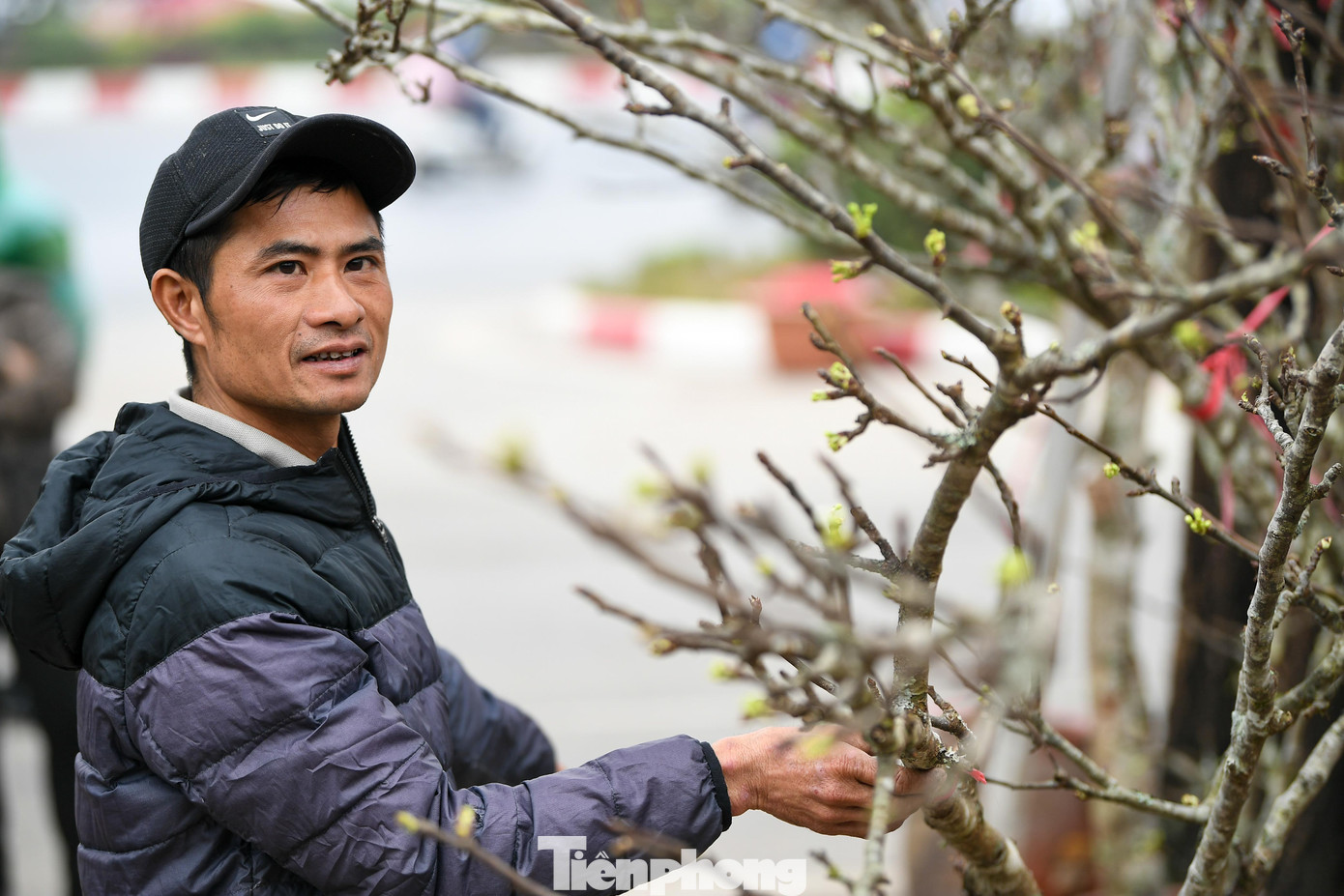 img src/upload/1-2026/images/2026-02-06/1770335300-tp-tieu-thuongddt-2175-width1390height927.jpg width660 /