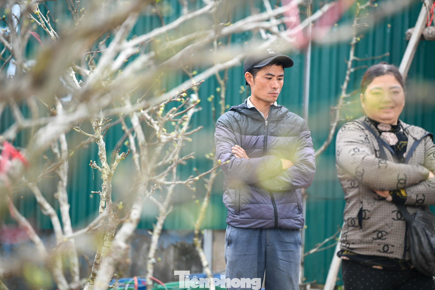 Theo chân tiểu thương ăn ngủ cùng đào quất ở chợ hoa Tết Hà Nội - 3