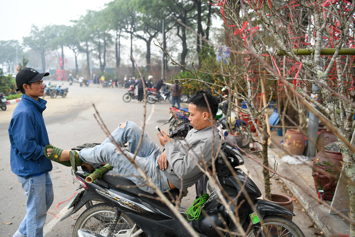 Anh Nguyễn Văn H. (Chương Mỹ) đứng bên những gốc đào vừa được tập kết về quảng trường Mỹ Đình. Bán hoa tại đây đã 4 năm, anh tâm sự vụ Tết là nguồn thu nhập chính, quyết định cái Tết ấm no của cả gia đình.