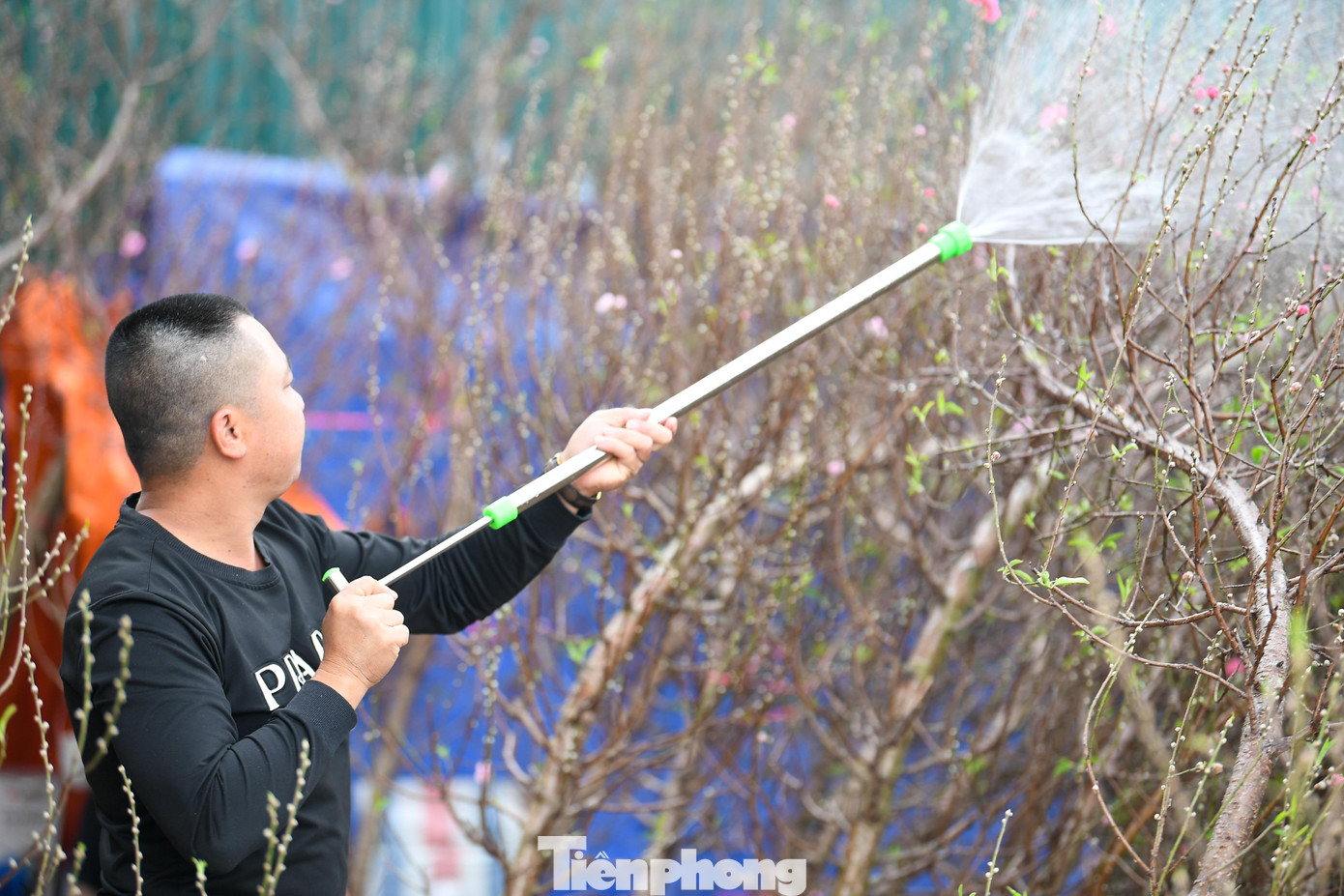 img src/upload/1-2026/images/2026-02-06/1770335319-tp-tieu-thuongddt-2287-width1390height946.jpg width660 /