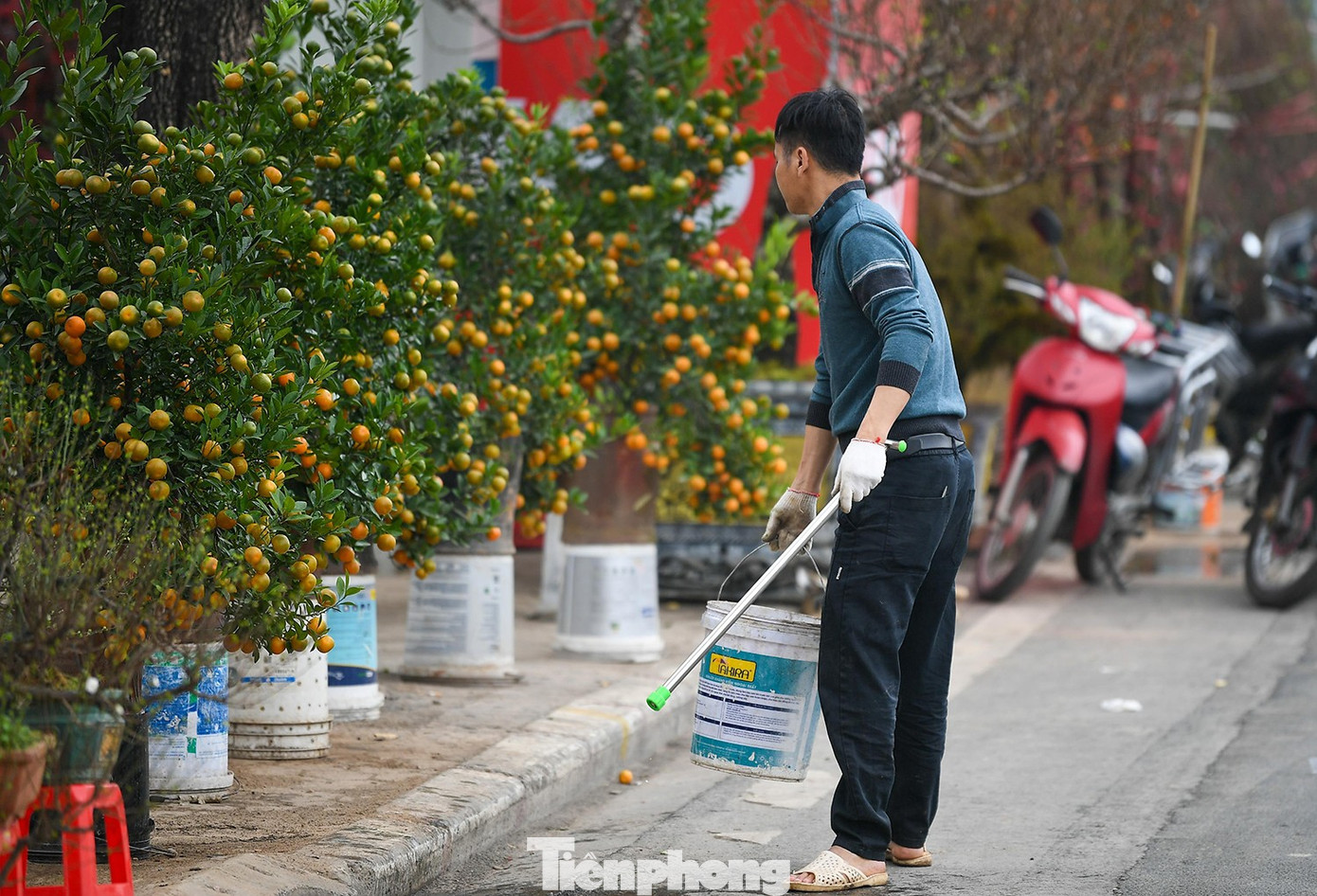 Theo chân tiểu thương ăn ngủ cùng đào quất ở chợ hoa Tết Hà Nội - 9