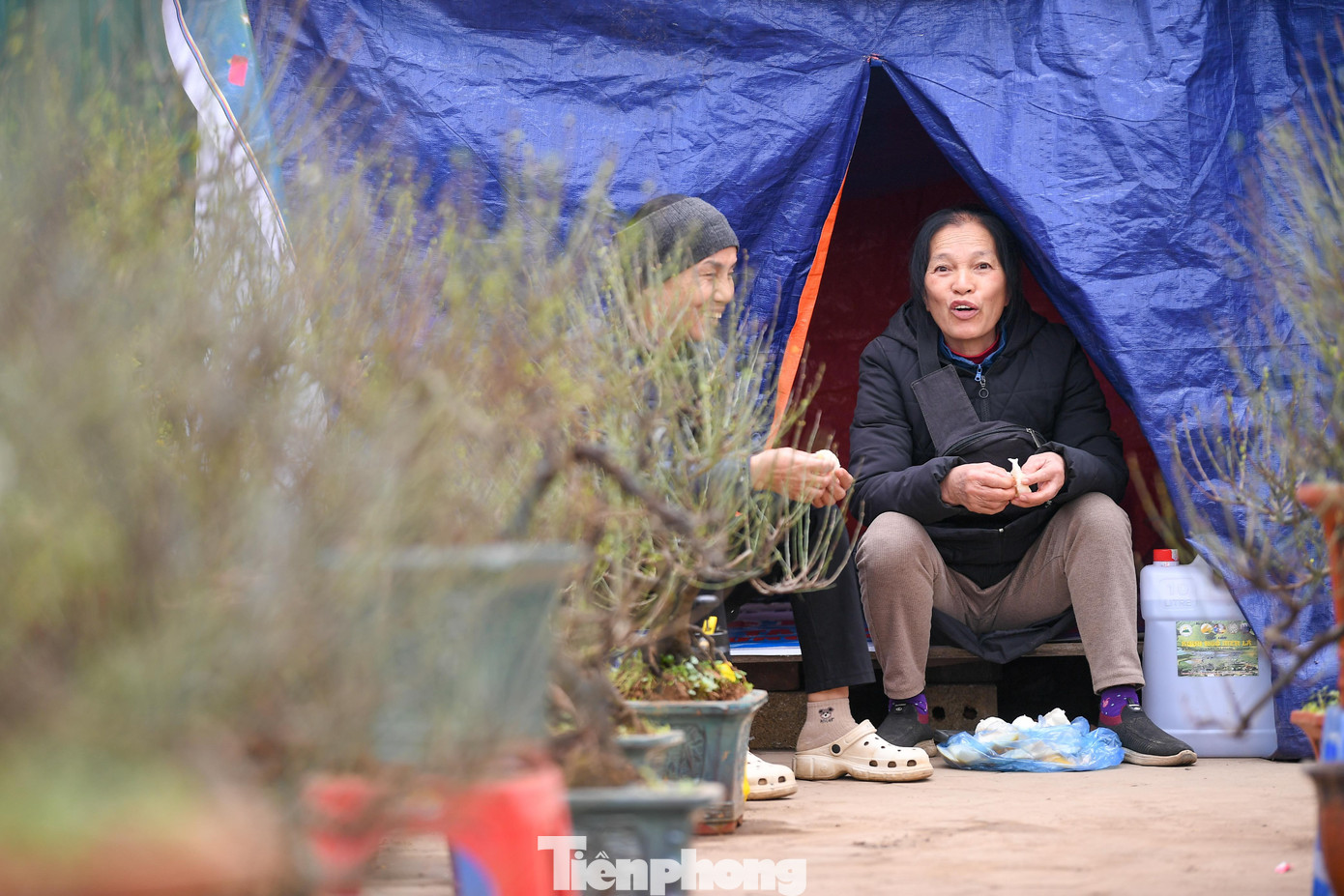 img src/upload/1-2026/images/2026-02-06/1770335324-tp-tieu-thuongddt-2254-width1390height927.jpg width660 /