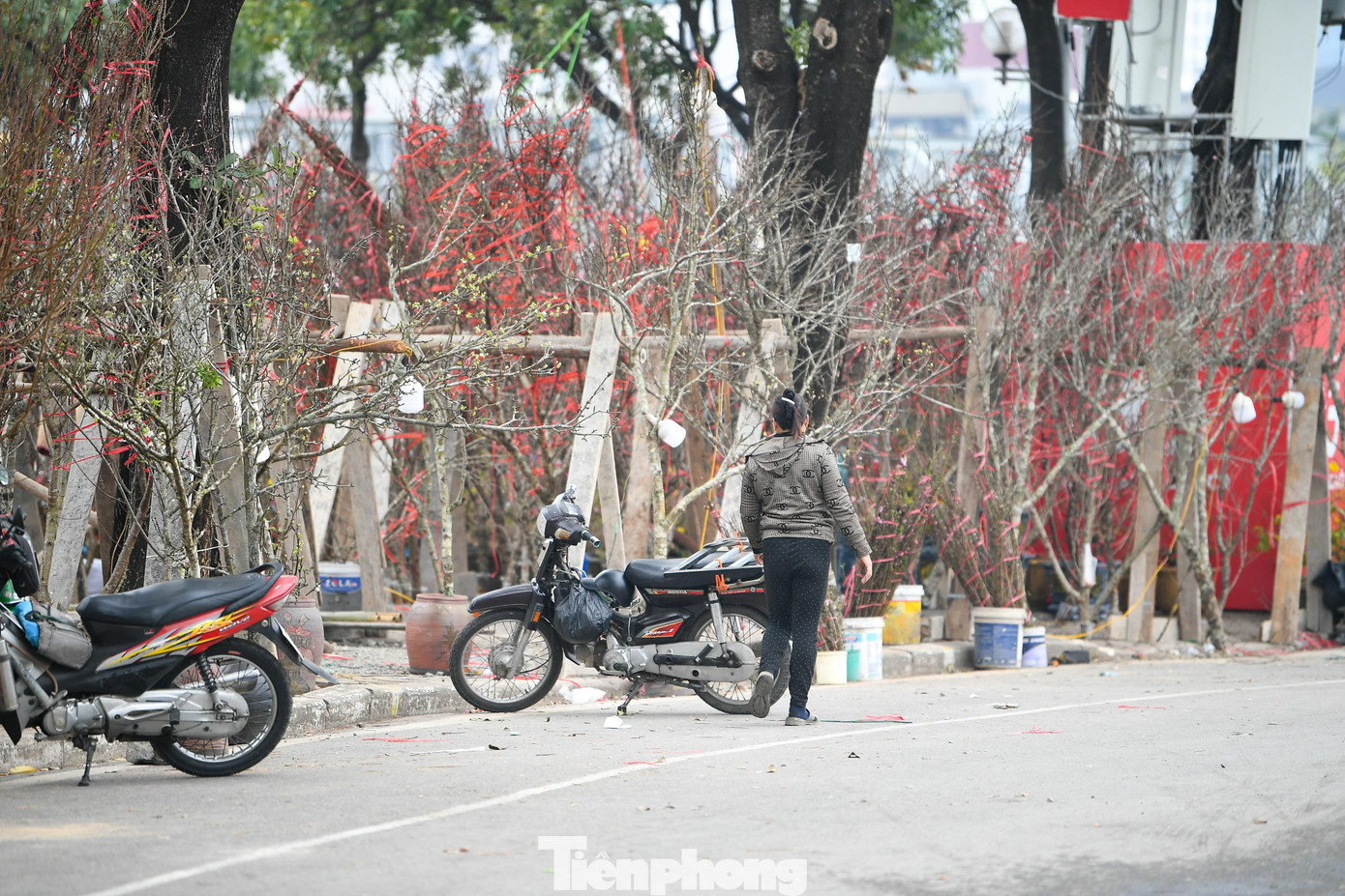 Để tiện trông coi hàng hóa, nhiều tiểu thương chấp nhận cảnh “màn trời chiếu đất”, ăn ngủ ngay tại sạp. Những chiếc lều bạt dã chiến được dựng vội là nơi trú ngụ giúp họ chống chọi với những đợt gió lạnh về đêm.
