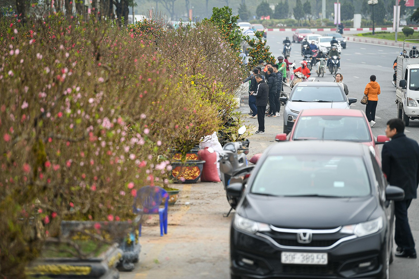 Những sạp hoa Tết tạm bợ dọc các tuyến đường lớn tuy chỉ tồn tại trong thời gian ngắn nhưng là mảnh ghép không thể thiếu của sắc xuân Thủ đô. Đằng sau khung cảnh nhộn nhịp ấy là những phận người chấp nhận gác lại niềm riêng, làm việc xuyên đêm giữa sương giá để “chở” mùa xuân về cho mọi nhà.