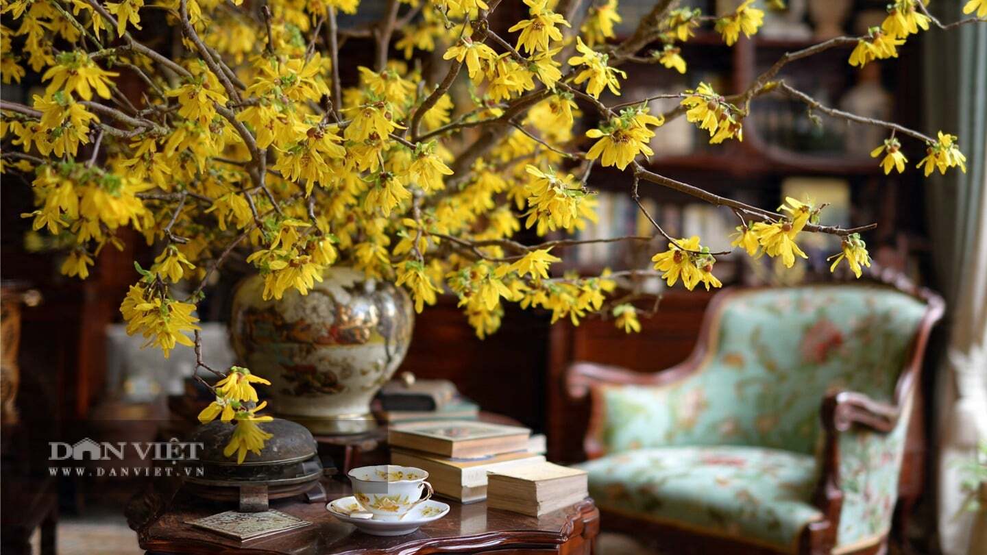 Hương thơm của lạp mai là điều khiến bất cứ ai cũng phải vấn vương.