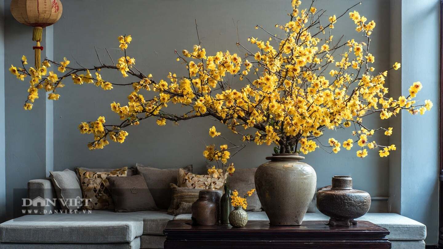 Cây cảnh thích hợp với nhiều loại đất