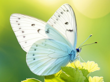 Eva tám - Ít ai để ý: Giờ sinh này thường không giàu sớm nhưng rất giàu về sau