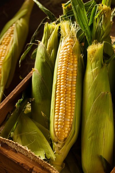 Chuyên gia khuyến cáo không nên lạm dụng râu ngô, đặc biệt với người có bệnh nền.