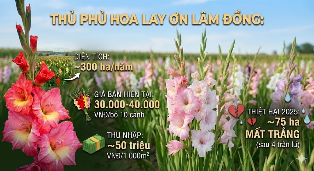 Tổng quan về tình hình sản xuất hoa lay ơn tại Lâm Đồng - thủ phủ hoa lan ơn lớn nhất nước. Ảnh: AI.