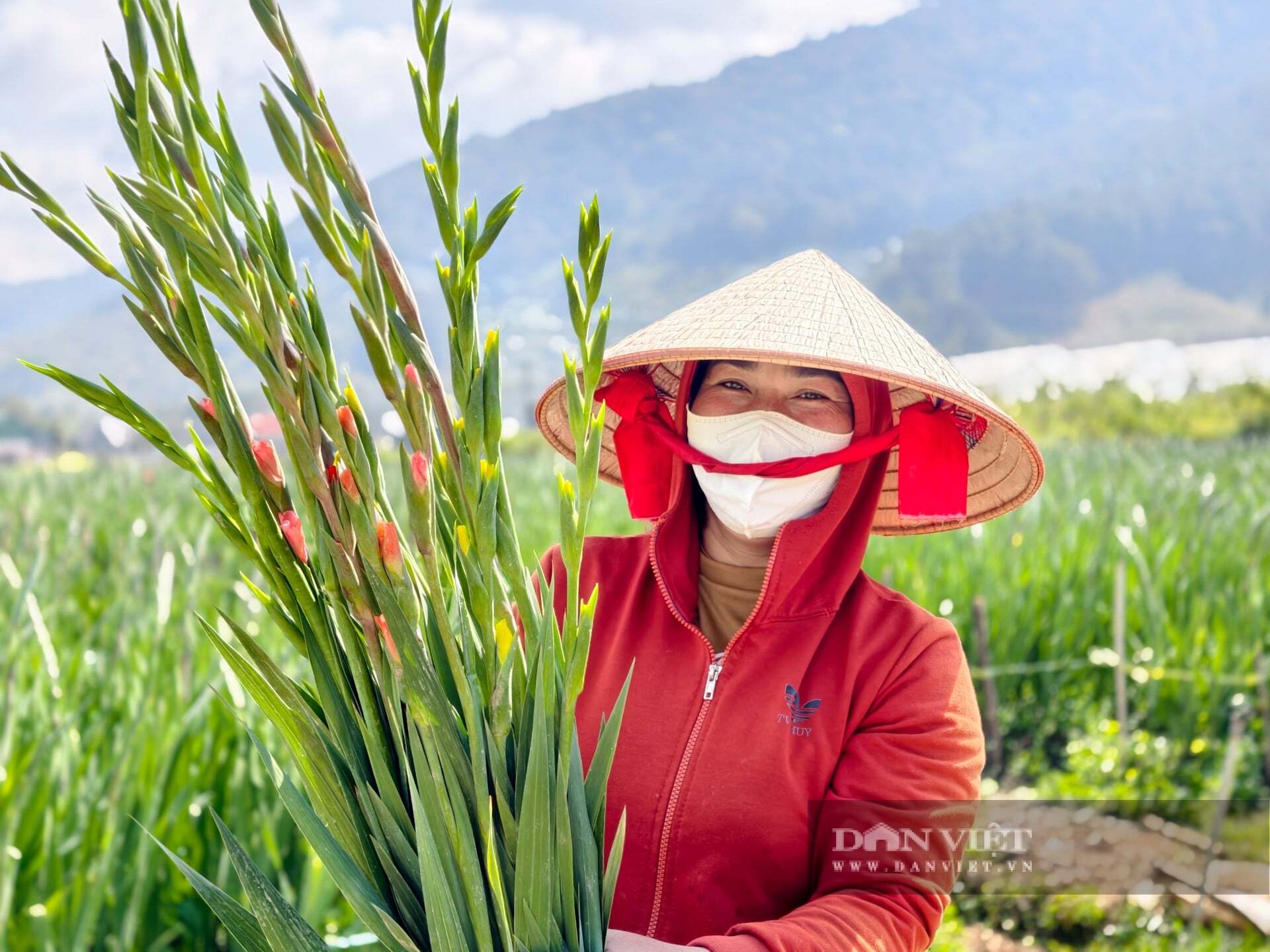 Bà Minh bên những cây hoa lay ơn mới thu hoạch từ vườn. Ảnh: Văn Long.