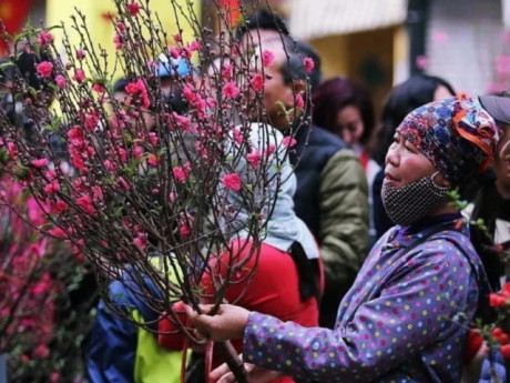 Chi tiết thời tiết dịp Tết Nguyên Đán Bính Ngọ từ 20 tháng Chạp đến mùng 6 Tết: Biến động mạnh, rét đậm rét hại bao trùm