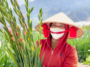 Ở vùng đất trồng nhiều hoa lay ơn nhất Việt Nam, người dân đang mừng ra mặt vì điều này