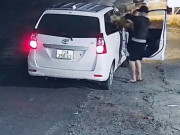 Clip Eva - Trong khi đối tượng tại Gia Lai dùng xe máy bắt 5.000 con, miền Tây xuất hiện nhóm đi ô tô trộm chó trong 10 giây