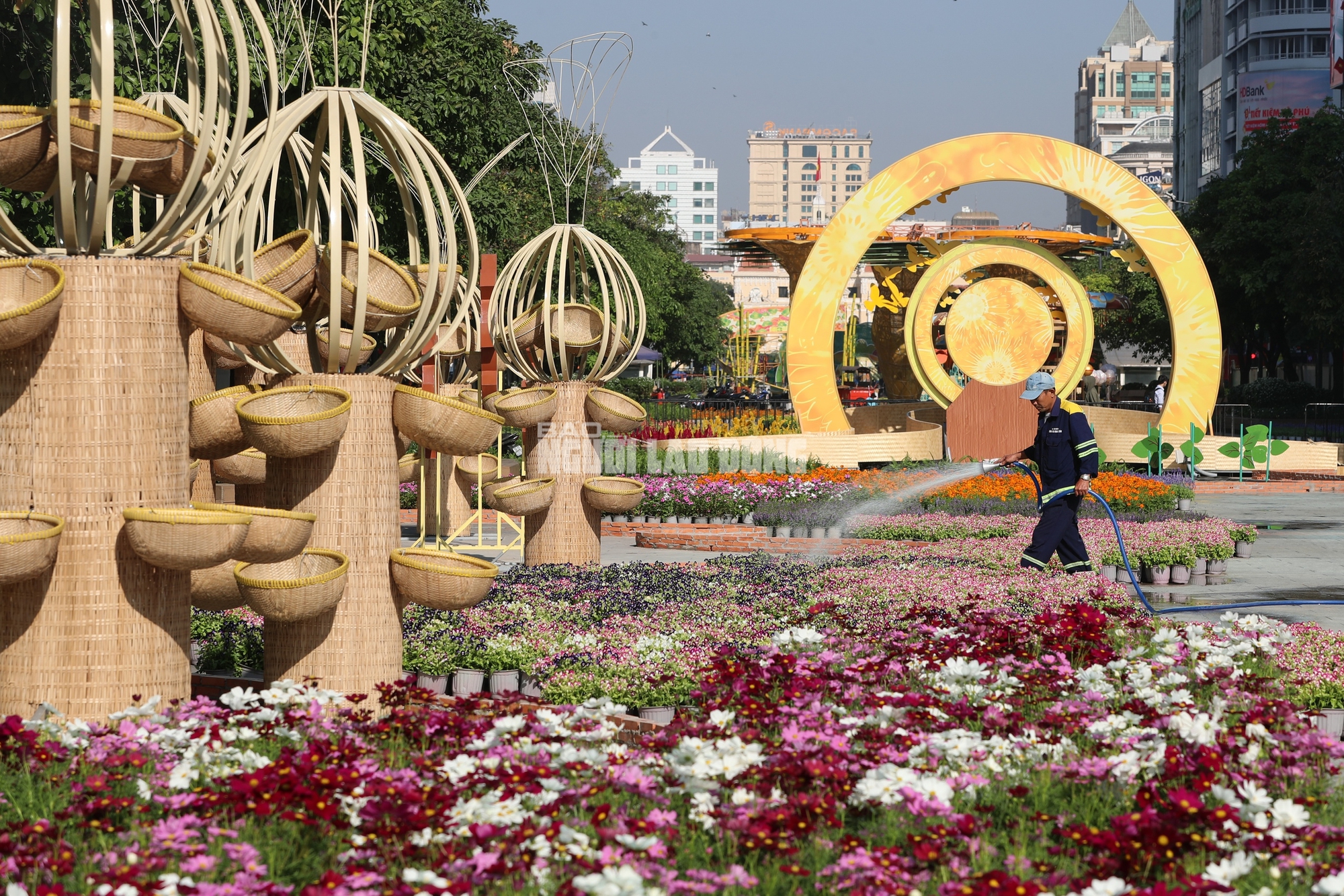 Năm nay đường hoa Nguyễn Huệ sẽ sử dụng 100.000 giỏ hoa từ nhiều nhà vườn được đưa về và bố trí theo từng khu vực