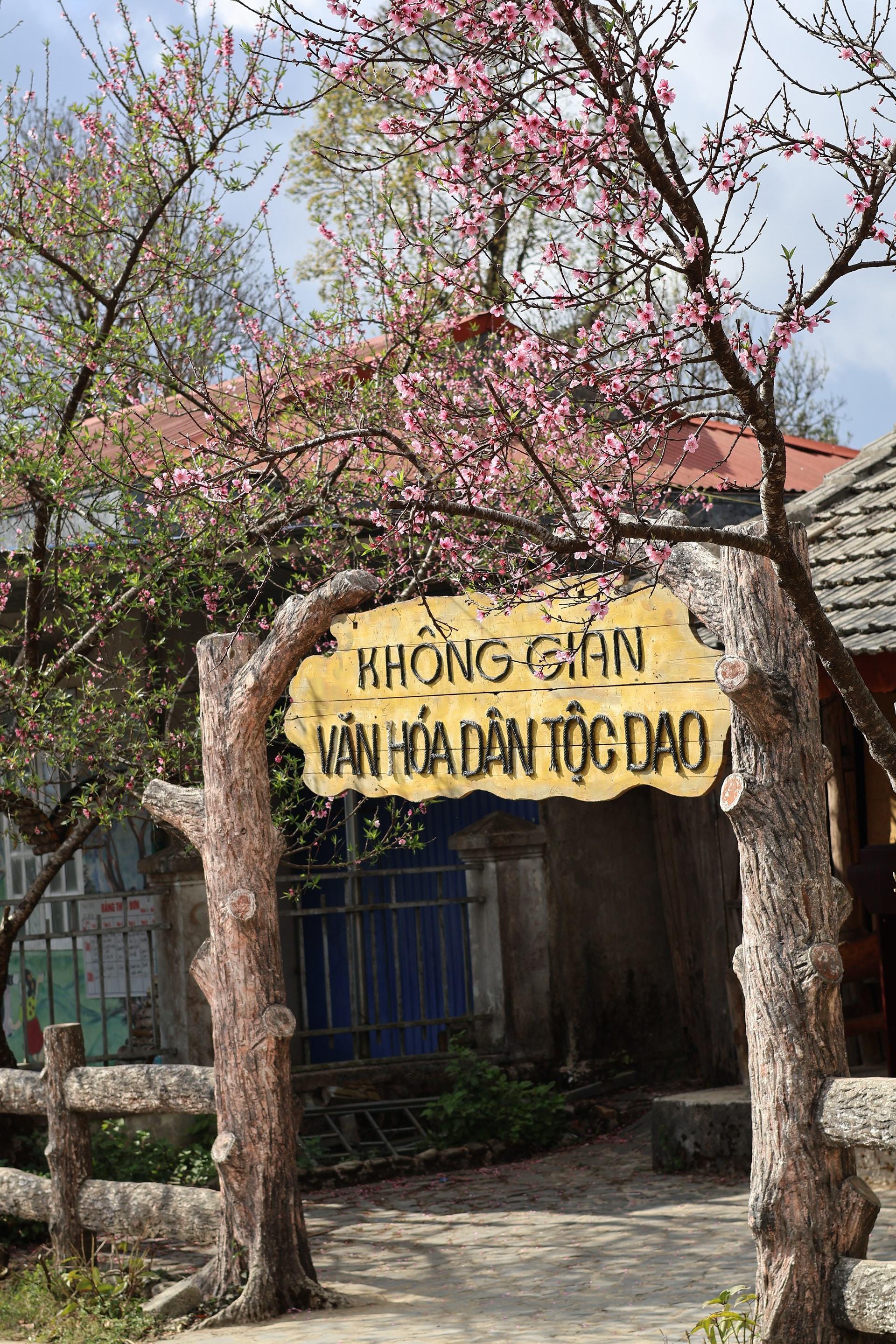 Bản amp;#34;cổ tích giữa lưng chừng trờiamp;#34; ở Lai Châu, hoa đào, hoa cải nở đẹp như tranh - 3