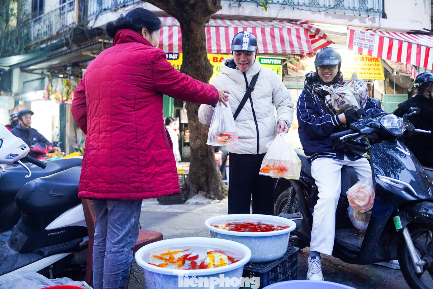 img src/upload/1-2026/images/2026-02-10/1770697933-tp-baotienphong-311-width1390height927.jpg width660 /