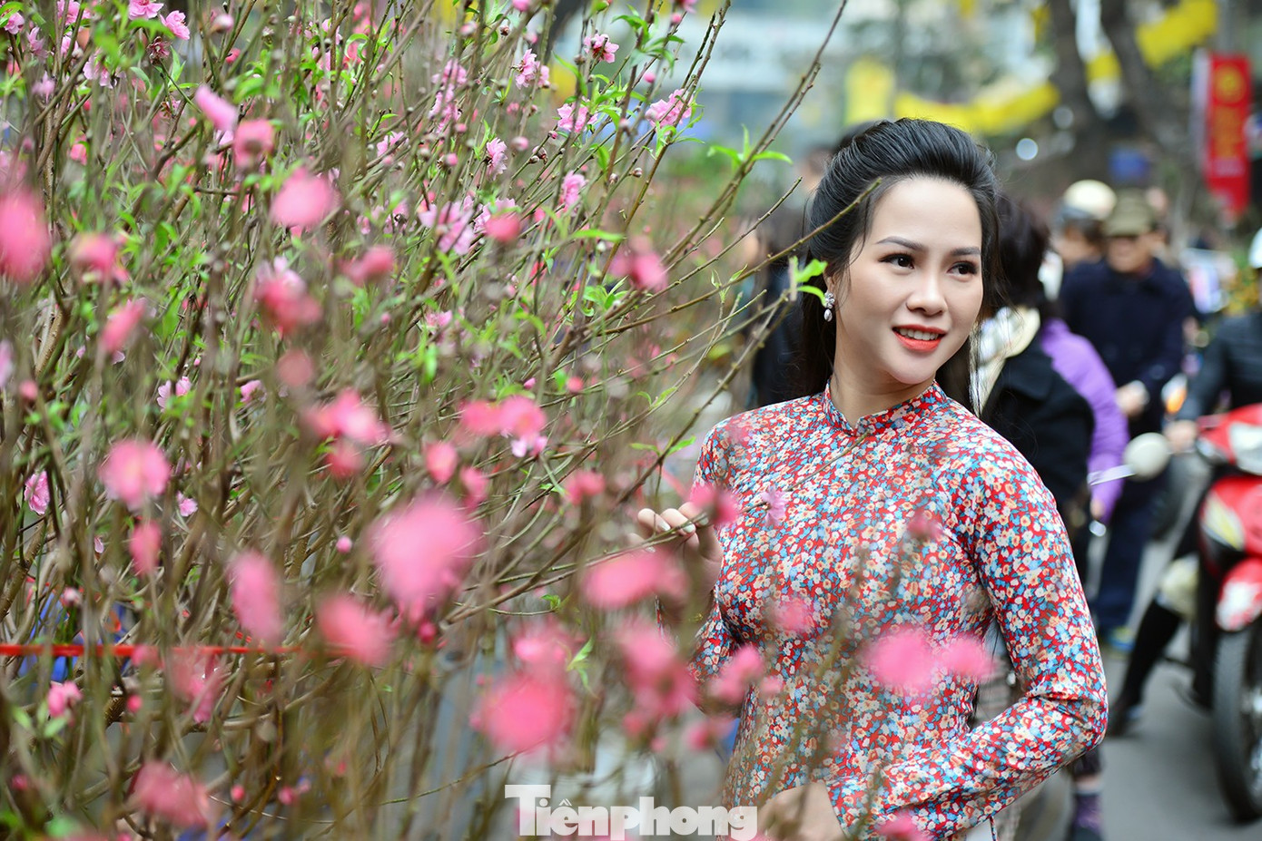 img src/upload/1-2026/images/2026-02-10/1770710399-tp-cho-hoa-pho-co00031-width1390height927.jpg width660 /