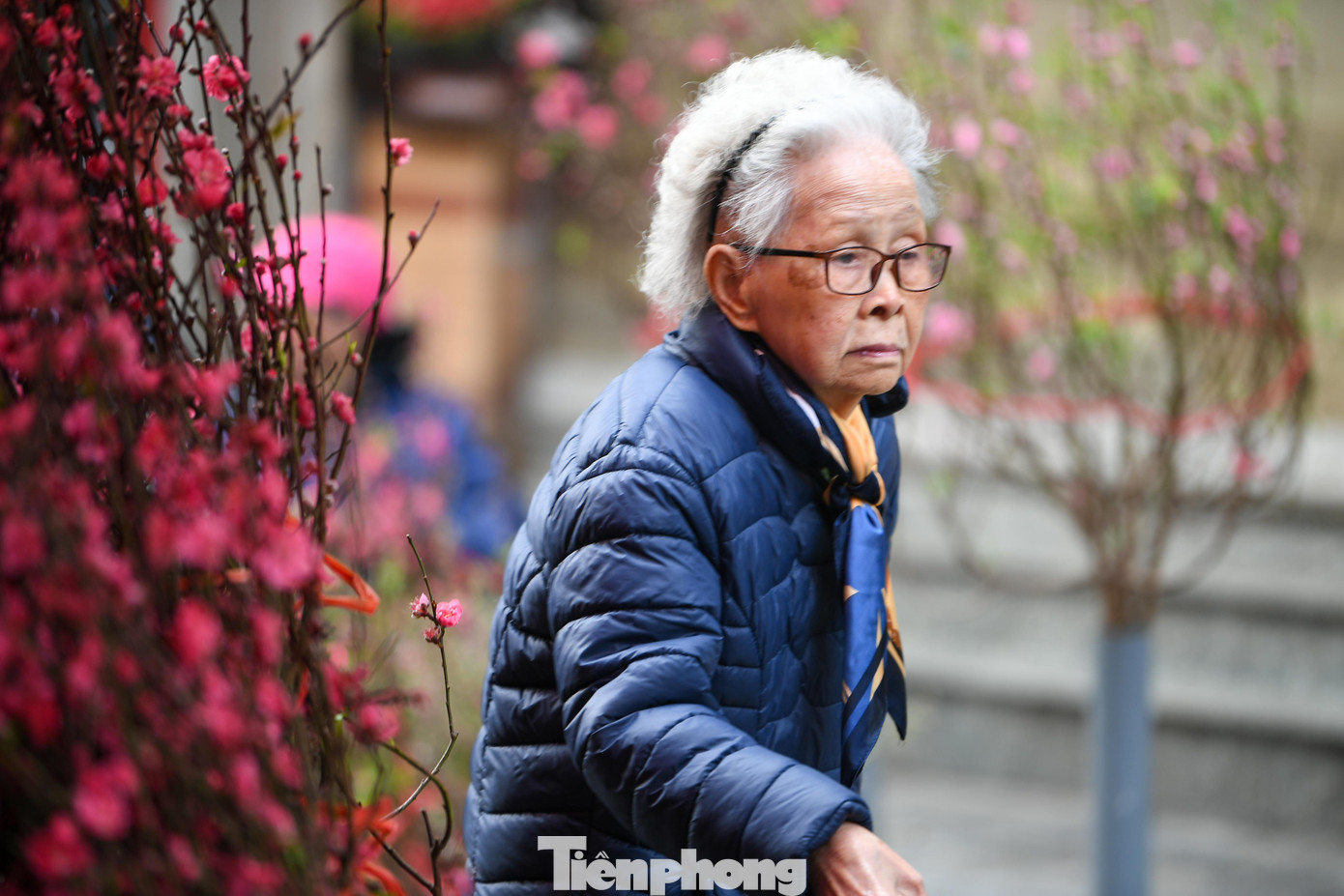 Phố cổ Hà Nội đỏ rực - 10