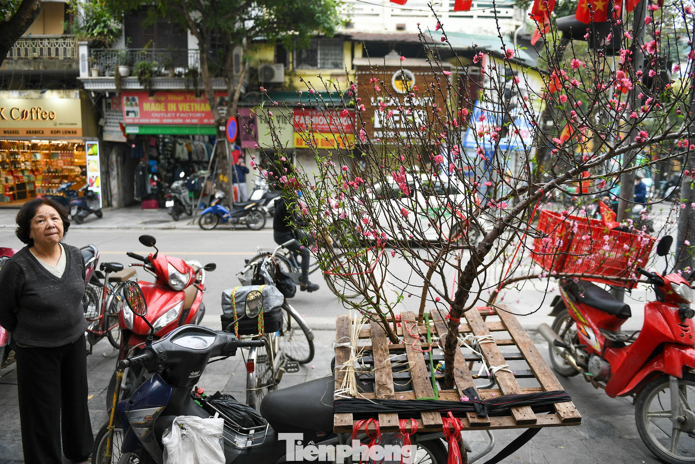 img src/upload/1-2026/images/2026-02-10/1770710400-tp-cho-hoa-pho-co00010-width1390height927.jpg width660 /