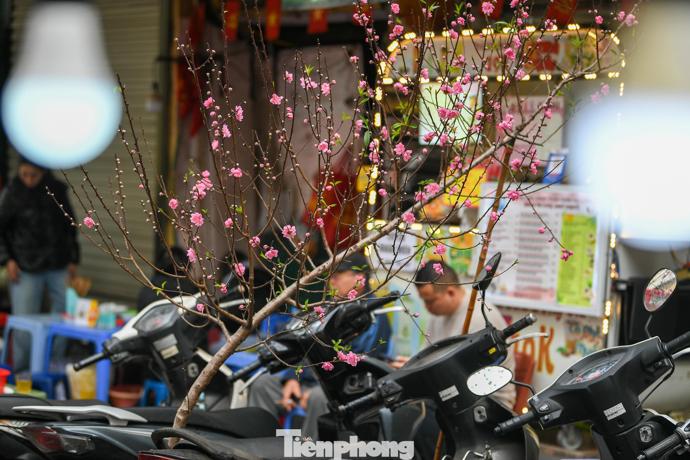 Sắc màu rực rỡ của Tết cổ truyền Việt Nam khiến nhiều du khách quốc tế thích thú, dừng chân ghi lại những khoảnh khắc đẹp giữa lòng phố cổ.