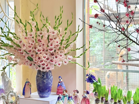 Mẹo ngắt đọt, tước lá để hoa lay ơn nở đều, căng đẹp