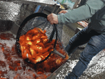 Chợ cá chép đỏ lớn nhất Hà Nội vắng người mua, giá nhảy vọt