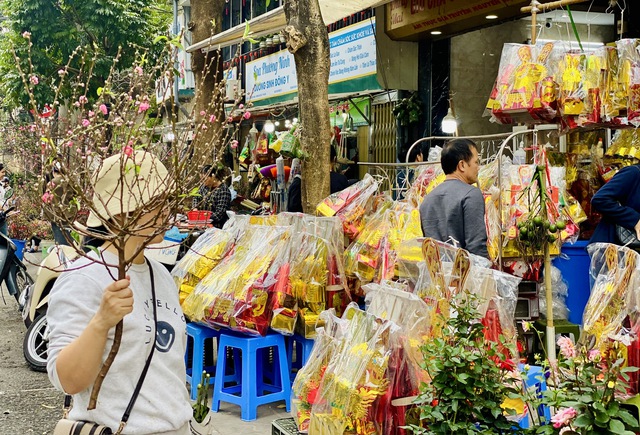 Hoa đào là một trong những loại hoa không thể thiếu trong những ngày Tết đến, Xuân về.