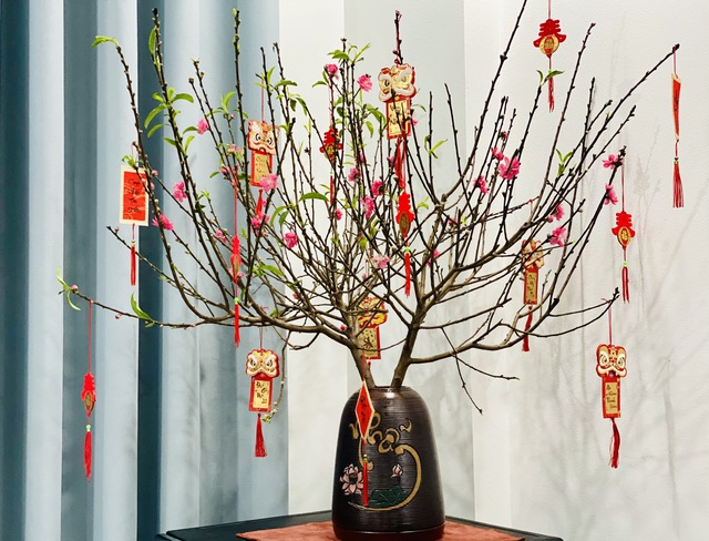 Hoa đào được nhiều người ưa chuộng bởi, sắc hồng của hoa đào được xem là màu sắc mang lại may mắn, sự ấm cúng.