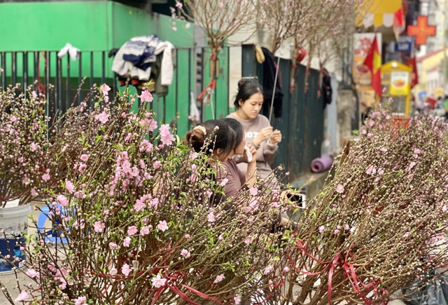 Hoa đào thường nở vào đầu đông xuân, mùa của sự sinh sôi nảy nở.