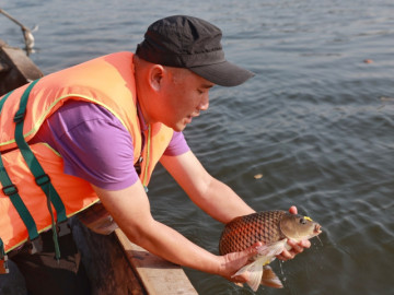 Thuê ghe ra giữa sông Sài Gòn thả cá chép