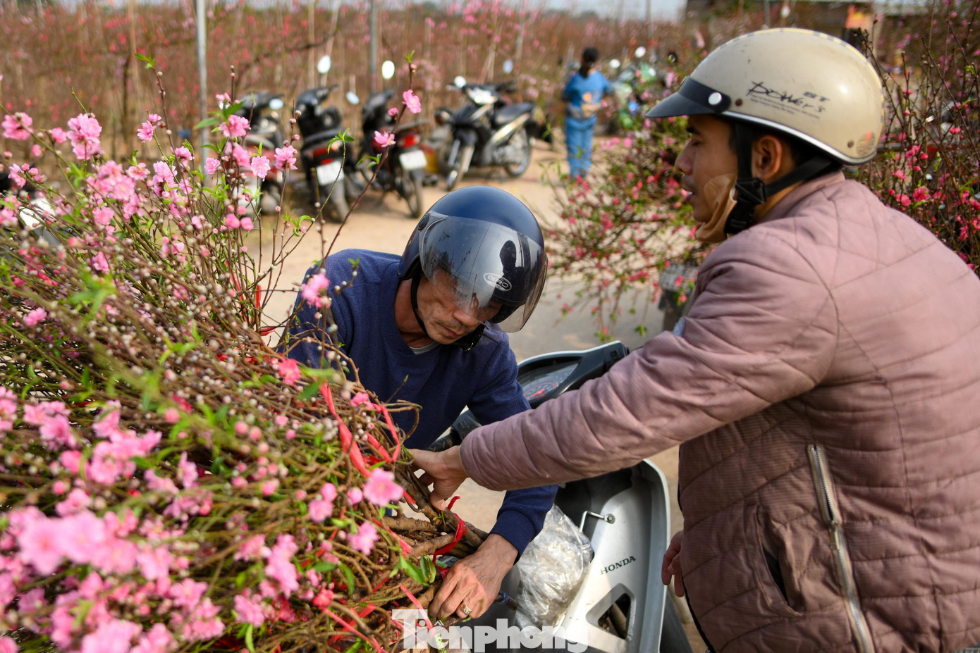 img src/upload/1-2026/images/2026-02-12/1770854153-tp-dao-nhat-tan00023-width1390height927.jpg width660 /