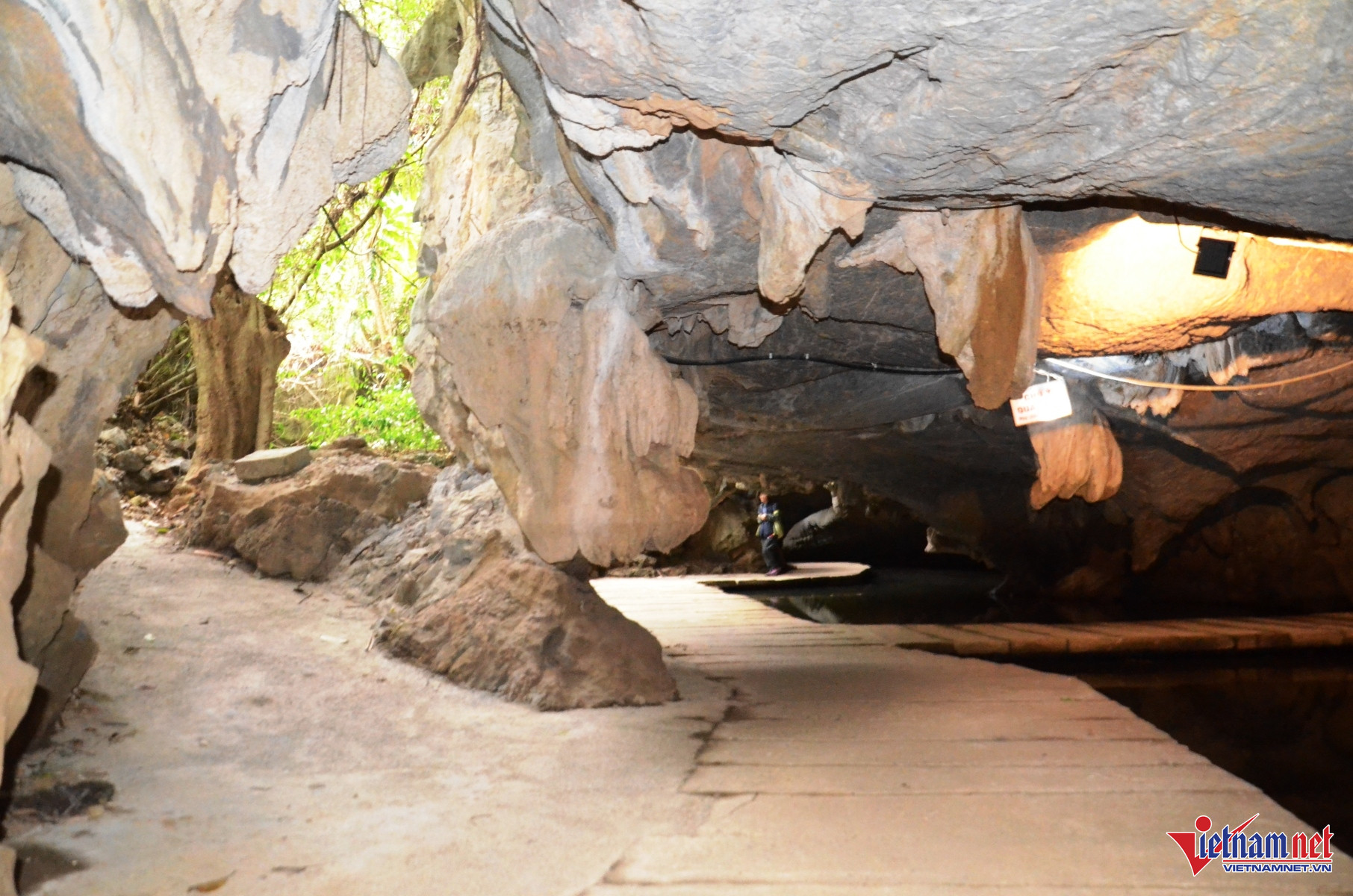 Ở Giữa Động Có Một Không Gian Hở Xen Kẽ Với Rừng Cây, Vách Đá Bên Ngoài