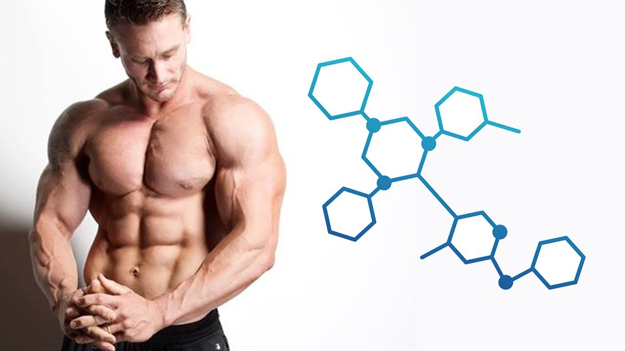 Testosterone là hormone steroid quan trọng nhất ở nam giới.