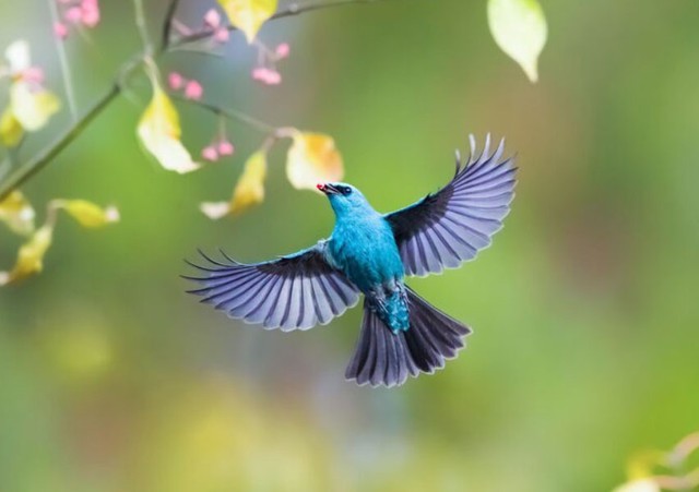 Phụ nữ sinh ngày 6 Âm lịch nổi bật ở khả năng kiếm tiền và quản lý tài chính. Ảnh minh họa