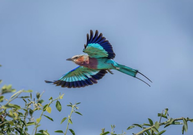 Phụ nữ sinh ngày 29 Âm lịch toát lên khí chất sang trọng, điềm tĩnh, khiến vận may dường như luôn đồng hành. Ảnh minh họa