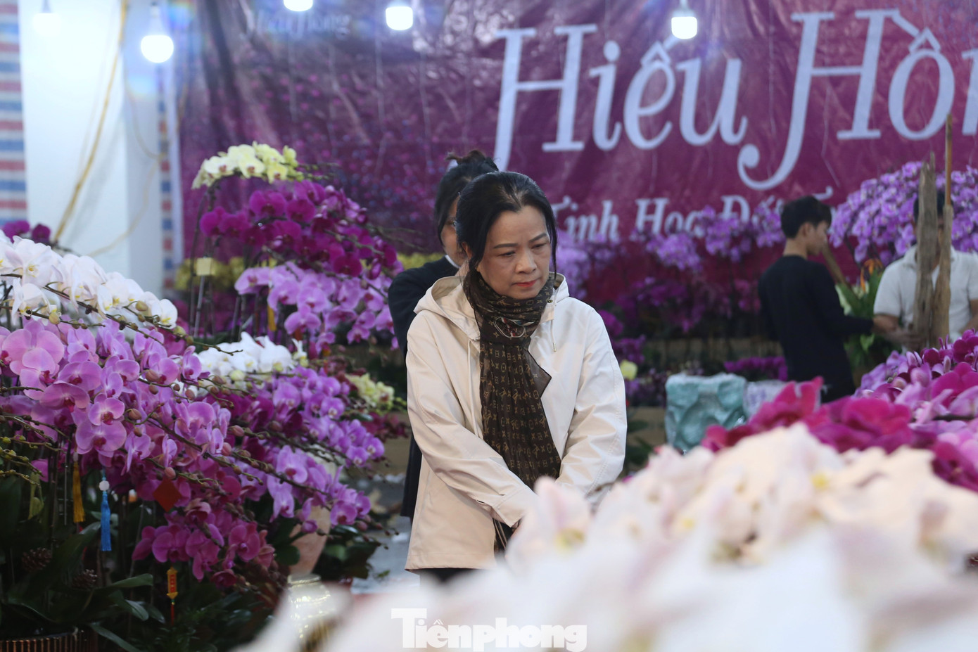 Các điểm bán hoa lan cũng đồng loạt sale kịch sàn.