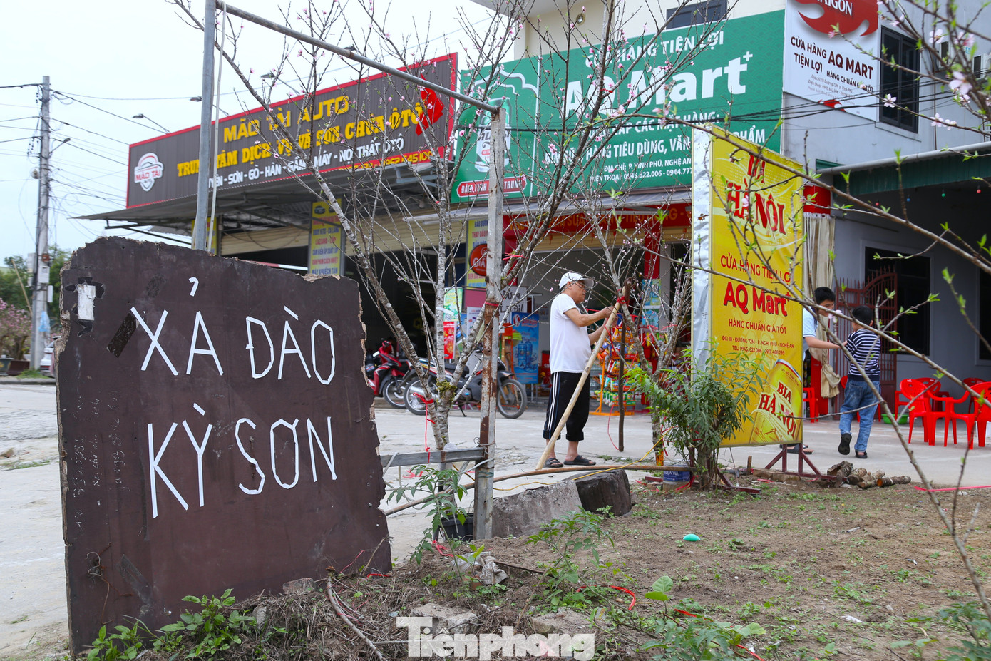 Quất sale đồng giá, đào xả kịch sàn vẫn vắng khách ngày 27 Tết - 11