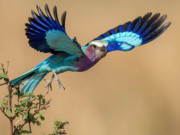 Eva tám - Những ngày sinh Âm lịch gắn liền với vận giàu sang của phụ nữ