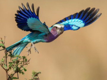 Những ngày sinh Âm lịch gắn liền với vận giàu sang của phụ nữ