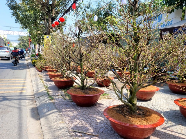 Tiểu thương cho biết sức mua tăng mạnh vào những ngày 25-29 tháng Chạp, đặc biệt vào buổi chiều tối khi thời tiết dịu mát.