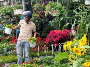 Tin tức - Người dân TP HCM nô nức trang hoàng nhà cửa, tất bật sắm mai, đào đón Tết