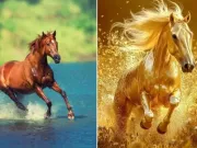 Lifestyle - Năm Bính Ngọ 2026, đặt hình nền ngựa trên điện thoại thế nào để thêm may mắn?