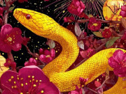 Eva tám - Vận may đến muộn nhưng đáng giá: 4 con giáp có cú lội ngược dòng đẹp nhất năm 2026